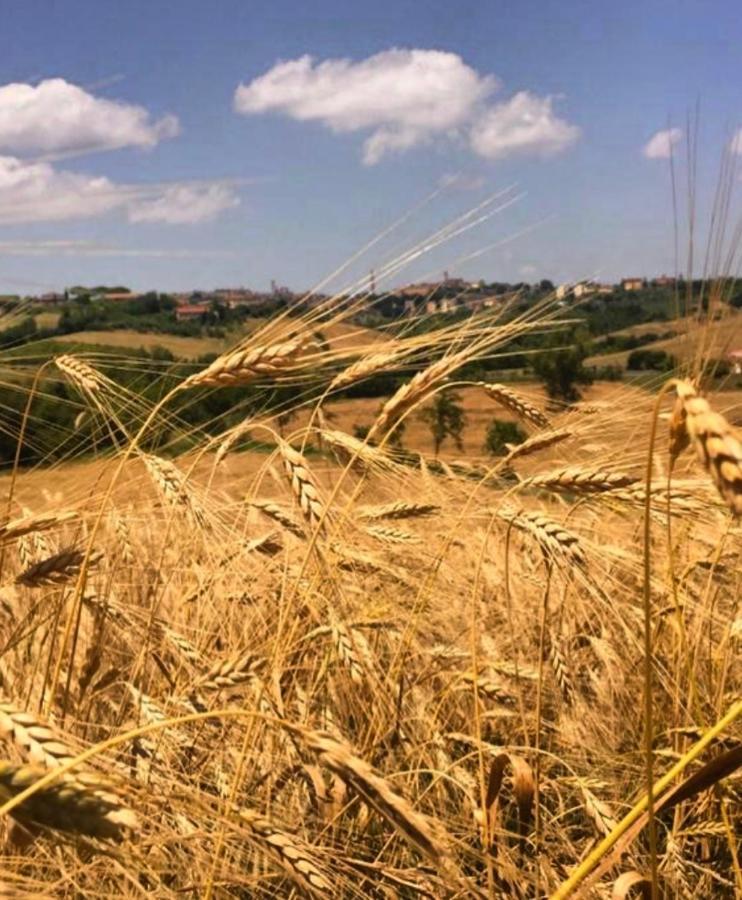 Agriturismo La Corte Del Sole Siena Exteriör bild