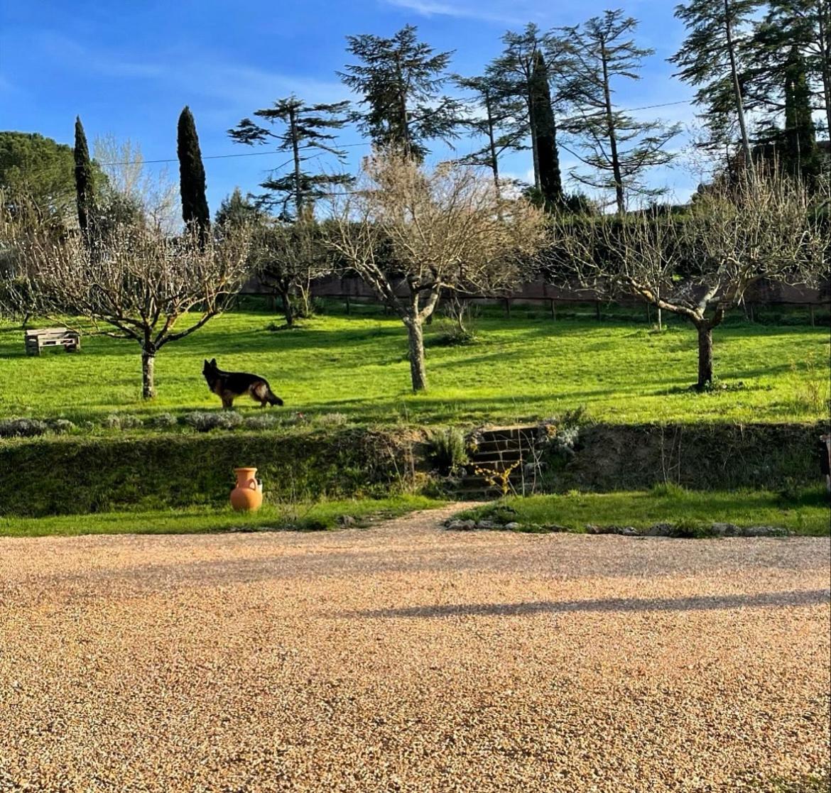 Agriturismo La Corte Del Sole Siena Exteriör bild