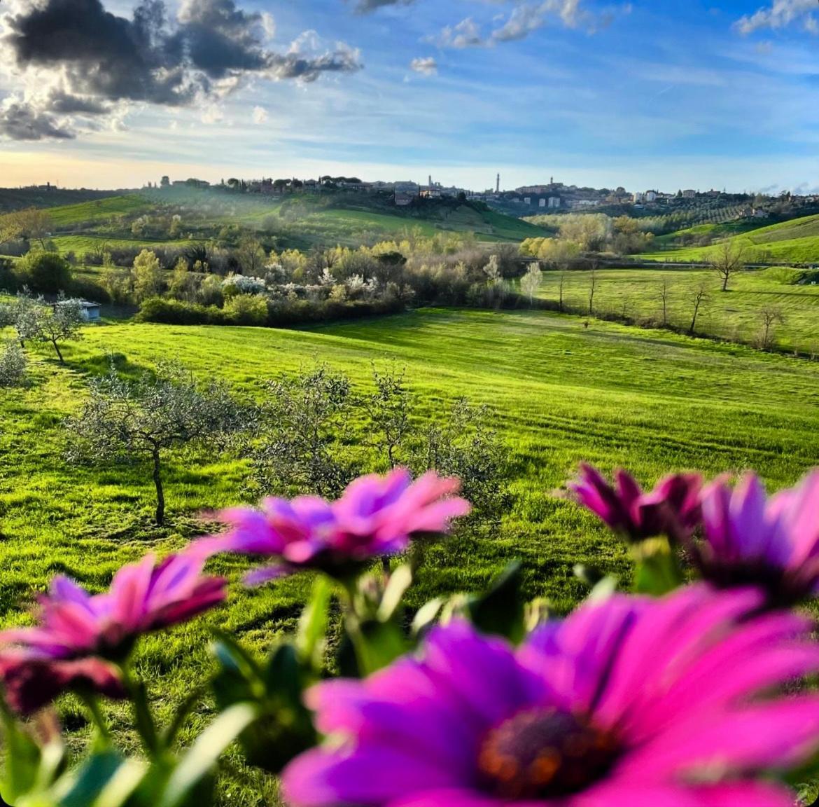 Agriturismo La Corte Del Sole Siena Exteriör bild