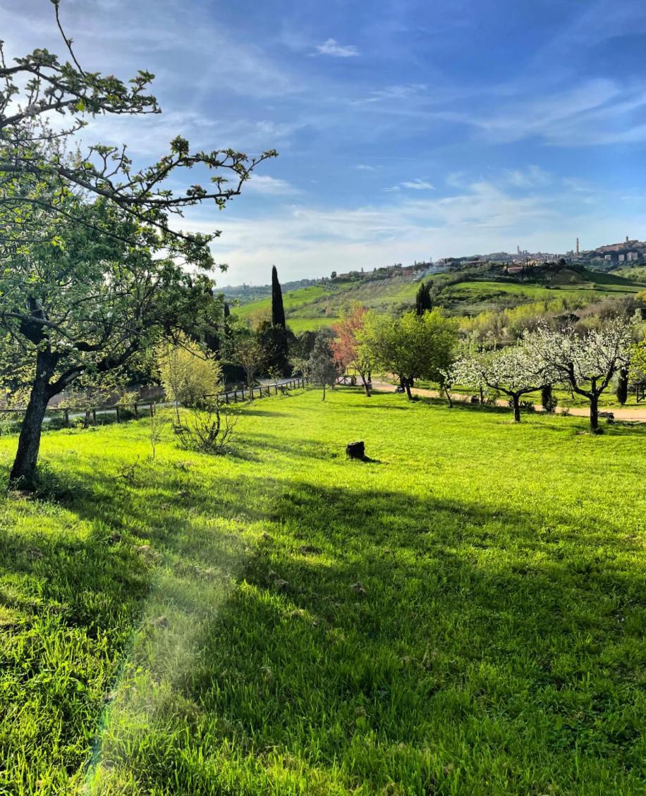 Agriturismo La Corte Del Sole Siena Exteriör bild