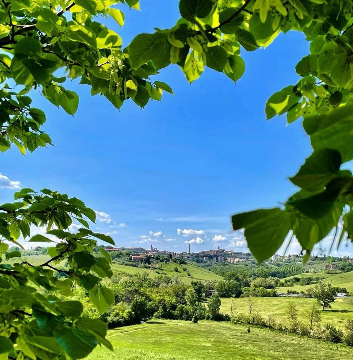 Agriturismo La Corte Del Sole Siena Exteriör bild