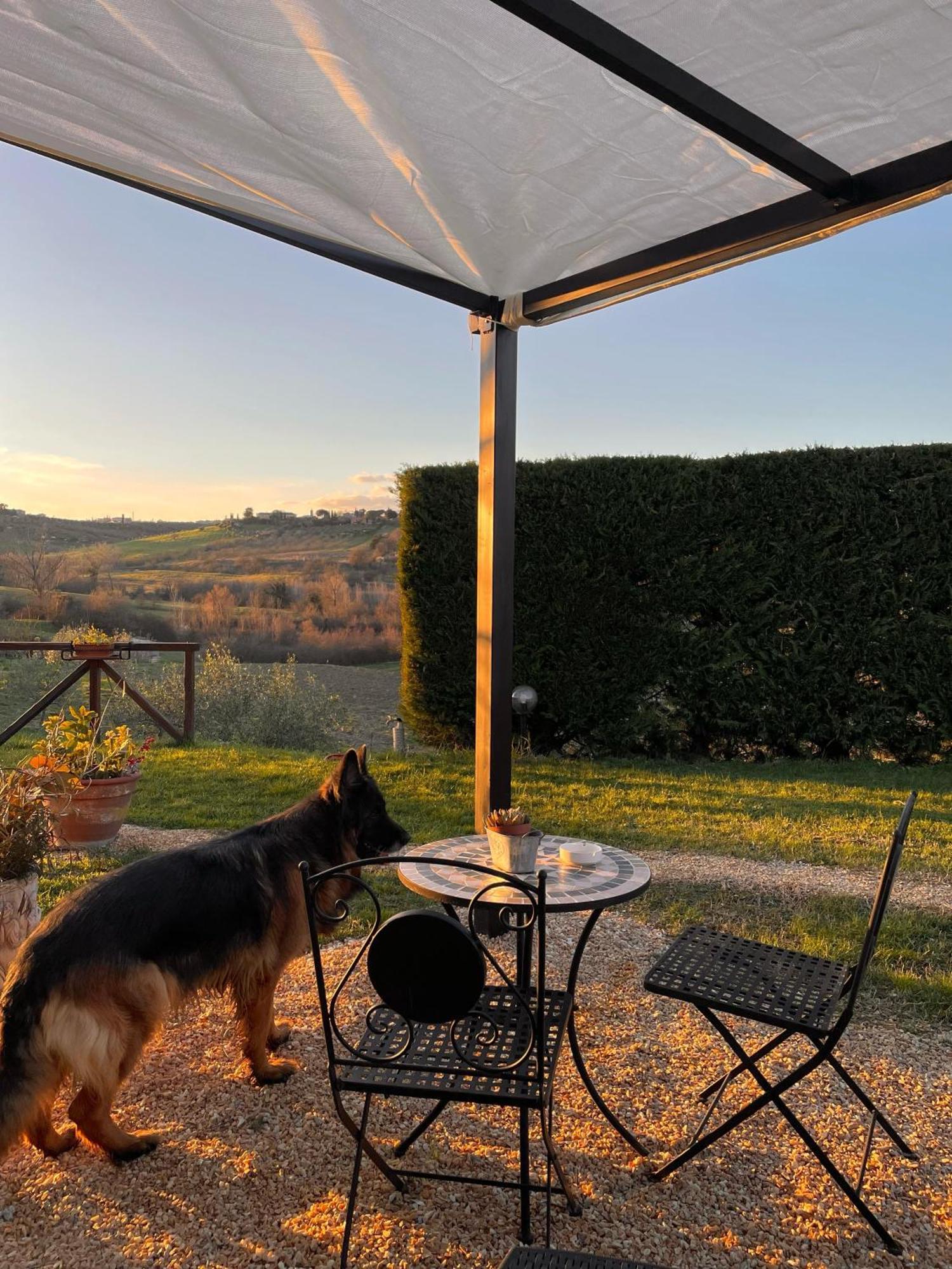 Agriturismo La Corte Del Sole Siena Exteriör bild