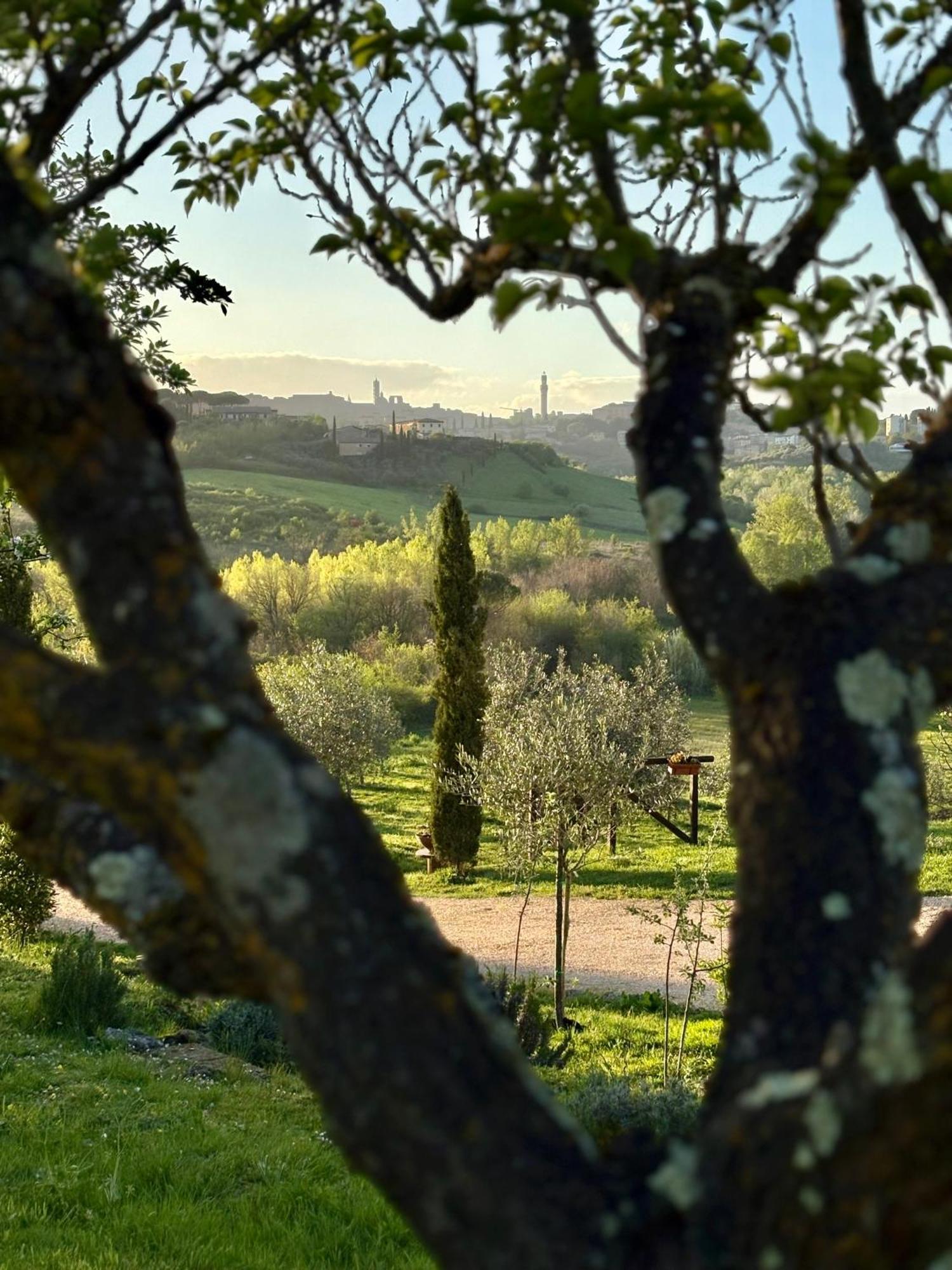 Agriturismo La Corte Del Sole Siena Exteriör bild
