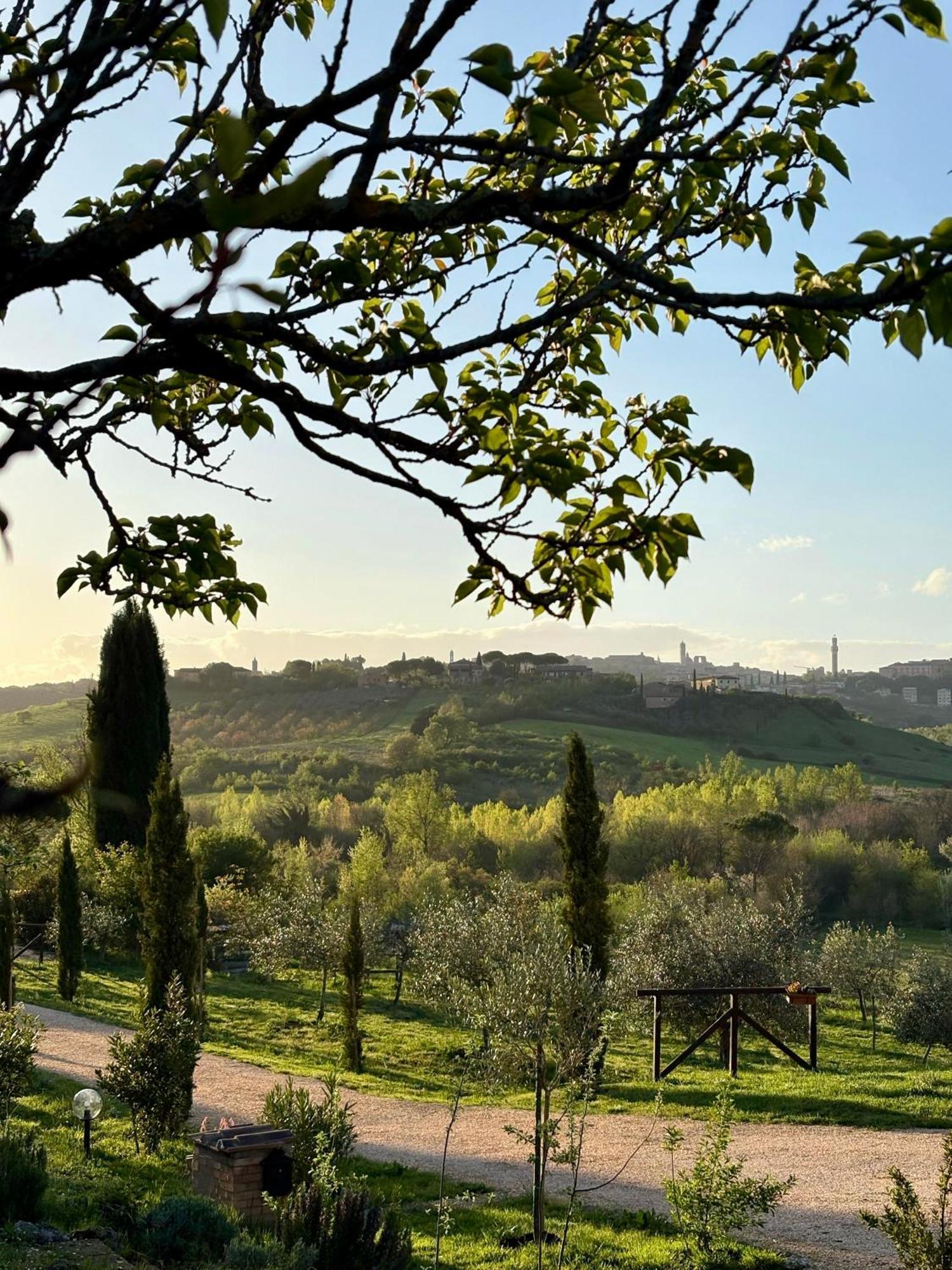 Agriturismo La Corte Del Sole Siena Exteriör bild